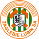 Team logo